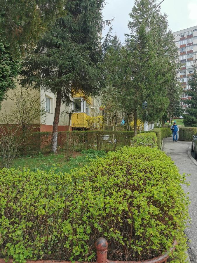 Apartament Maysa Cluj-Napoca Extérieur photo